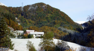 Et tilnærmet samlet storting legger vekt på skogens betydning for framtidens bioøkonomi. NORSKOG mener nå skatteverktøyet må tas i bruk for å sikre jevn og høy råstoff-forsyning fra norske skoger. Det regjeringsoppnevnte utvalget SKOG22 la i januar fram en samlet innstilling fra et ekspertpanel som omfattet hele verdikjeden. Utvalget mente det var fullt mulig å firedoble dagens verdiskaping fra verdikjeden.