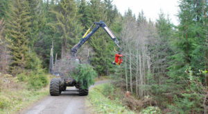 NORSKOG er tilfreds med at Høyre går inn for en vesentlig lettelse av formuesskatten, men mener det er viktig at målet om å fjerne formuesskatt på arbeidende kapital opprettholdes.