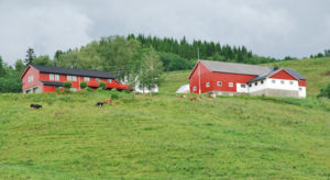 NORSKOG har – senest ved budsjetthøringen i høst – tatt opp spørsmålet om gjennomføring av fristen i 2014 for å fastsette historisk kostpris på landbrukseiendommer. NORSKOG er tilfreds med at Finansdepartementet nå har bestemt at det ikke skal fastsettes slik kostpris utenom realisasjon.