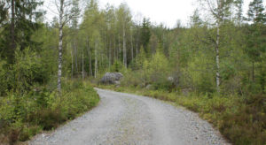 Forslaget til ny landbruksveiforskrift innbyr tildels til økt byråkratisering og dyrere veier, men NORSKOG berømmer departementet for å fjerne INON som forvaltningsverktøy i tilskuddsforskriften.