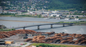 Hvis skogen langs kysten skal tas i bruk må det sikres effektiv transport til industri. Derfor blir tømmerkaiene stadig viktigere for kystskogbruket. Mangslungent eierskap og tilfeldige bruksavtaler for offentlig finansierte kaianlegg hindrer effektiv bruk av investeringene. Dette rammer til syvende og sist skogeier. – Nå bør vi få på plass en organisering som sikrer optimal anvendelse av investeringene, mener Gaute Nøkleholm i NORSKOG.