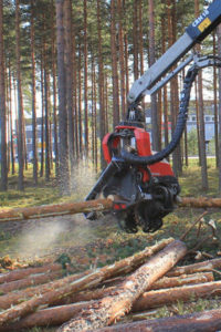 NORSKOG er en av 11 organisasjoner som deltar i denne Alliansen.