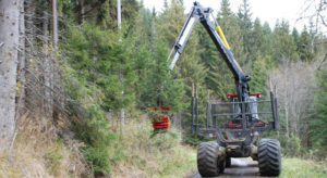 Kunnskap er makt. Når det gjelder akkurat skog og klima gjør imidlertid bløff samme nytten.