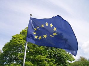 Det lekkede utkastet til EUs nye skogstrategi ønsker å endre skogbruket i Europa. I skrivet et det blant annet foreslått å forby flatehogst til fordel for lukkede hogstformer. Dette har fått mange til å reagere, særlig i nabolandene våre skognasjonene Sverige og Finland.