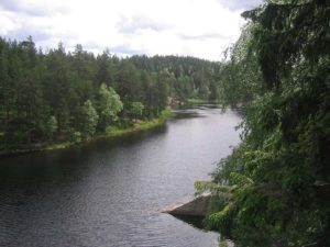 Utspillet om at det nå nærmest er ugjenkallelig at det blir nasjonalpark i Østmarka, synes politisk. Faglig sett spriker dagens uttalelser fra Miljødirektoratets konklusjoner basert på Naturmangfoldloven.