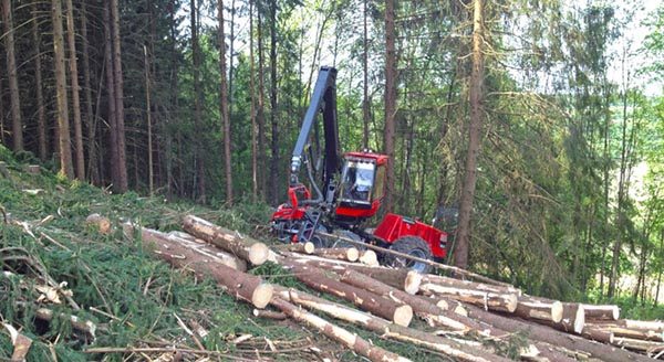 Hogst-bratt-terreng_640_JM