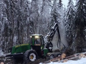 Alliansen oppfordrer Regjeringen til å avvikle formuesskatten på arbeidende kapital i løpet av inneværende stortingsperiode. En gradvis avvikling krever at verdsettingsrabatten for aksjer og driftsmidler økes til opp mot 50 prosent i 2019.