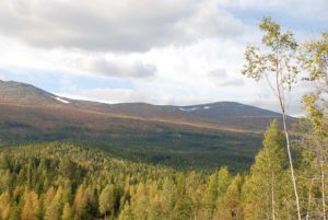 Hogsten i Norge skal økes. Potensialet er anslått til 15 millioner m3 årlig, mens dagens nivå er ca. 12 millioner m3. Gjennomsnittseiendommen i norsk skogbruk er på ca. 500 daa, ofte arrondert i spredte teiger, noe som gir grunnlag for en årsinntekt på om lag 20.000 kroner.