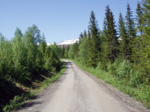 NORSKOG har sammen med 10 andre næringsorganisasjoner skrevet en kronikk om å styrke norskeide bedrifters likviditet og evne til å omstille seg i en krevende tid.