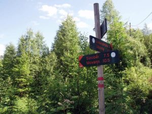 Vi er inne i tiden for dugnadsarbeid og tilrettelegging for friluftsliv. Da dukker spørsmålet opp: Kan turlaget, kommunen eller andre rydde og merke stier uten grunneiers samtykke?