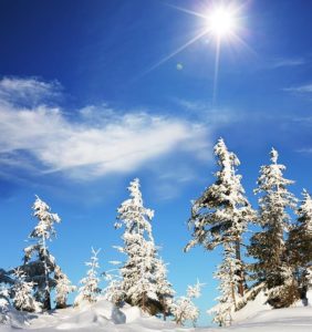 Diskusjonen om Østmarka bør bli nasjonalpark går. Noen mener skogen blir ufremkommelig, andre argumenter for friluftslivets kår. Og det snakkes om biologisk mangfold.
