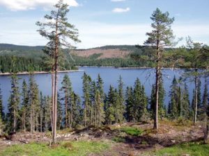 NORSKOG ønsker velkommen til åpent webinar om eiendomsretten tirsdag den 23. mars kl. 18.00-19.30.