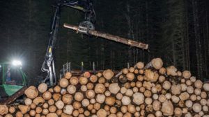 I alt 15 200 personlige skogeiere hadde positivt driftsresultat i skogbruksvirksomheten i 2016. I gjennomsnitt var driftsresultatet 63 000 kroner.