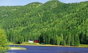 I Nationen 9. september argumenterer professor emeritus i viltforvaltning Olav Hjeljord for å redusere avvirkningen for å øke CO2-binding i Norge. Resonnement har alvorlige mangler. Han regner hogst som netto utslipp tilvarende om du hadde brent tømmeret på stedet, men det er ikke det som skjer.