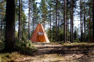 NORSKOG stiller spørsmål med hva formålet med vernet er. Det virker uklart, ikke bare for oss, men også for Statsforvalteren selv.